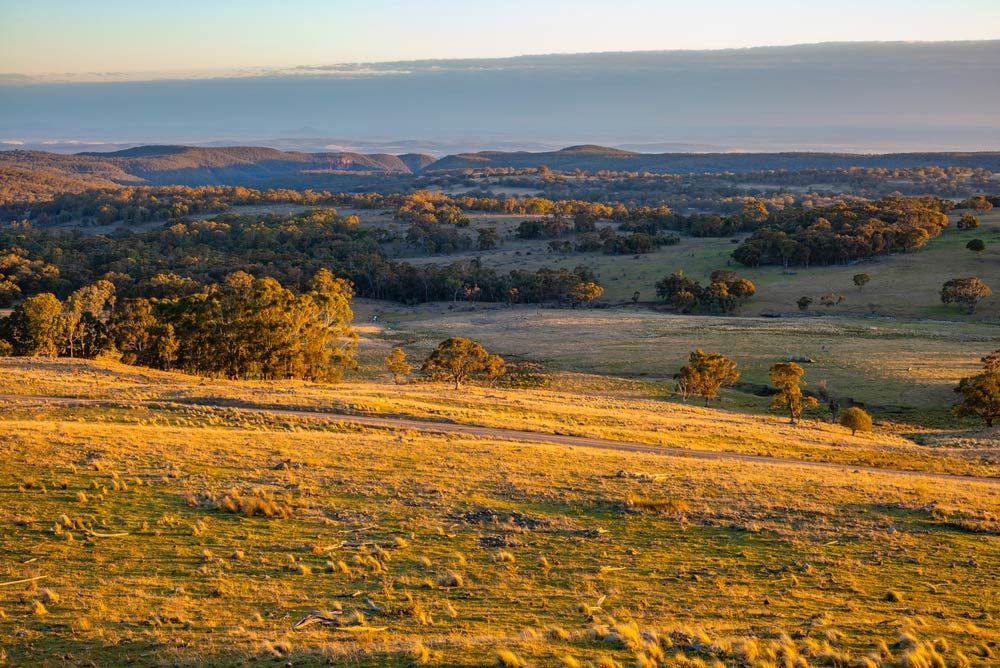 A view of a grassy hillside with trees and a city in the distance — Shane’s Car Detailing & Office Cleaning in Barraba, NSW