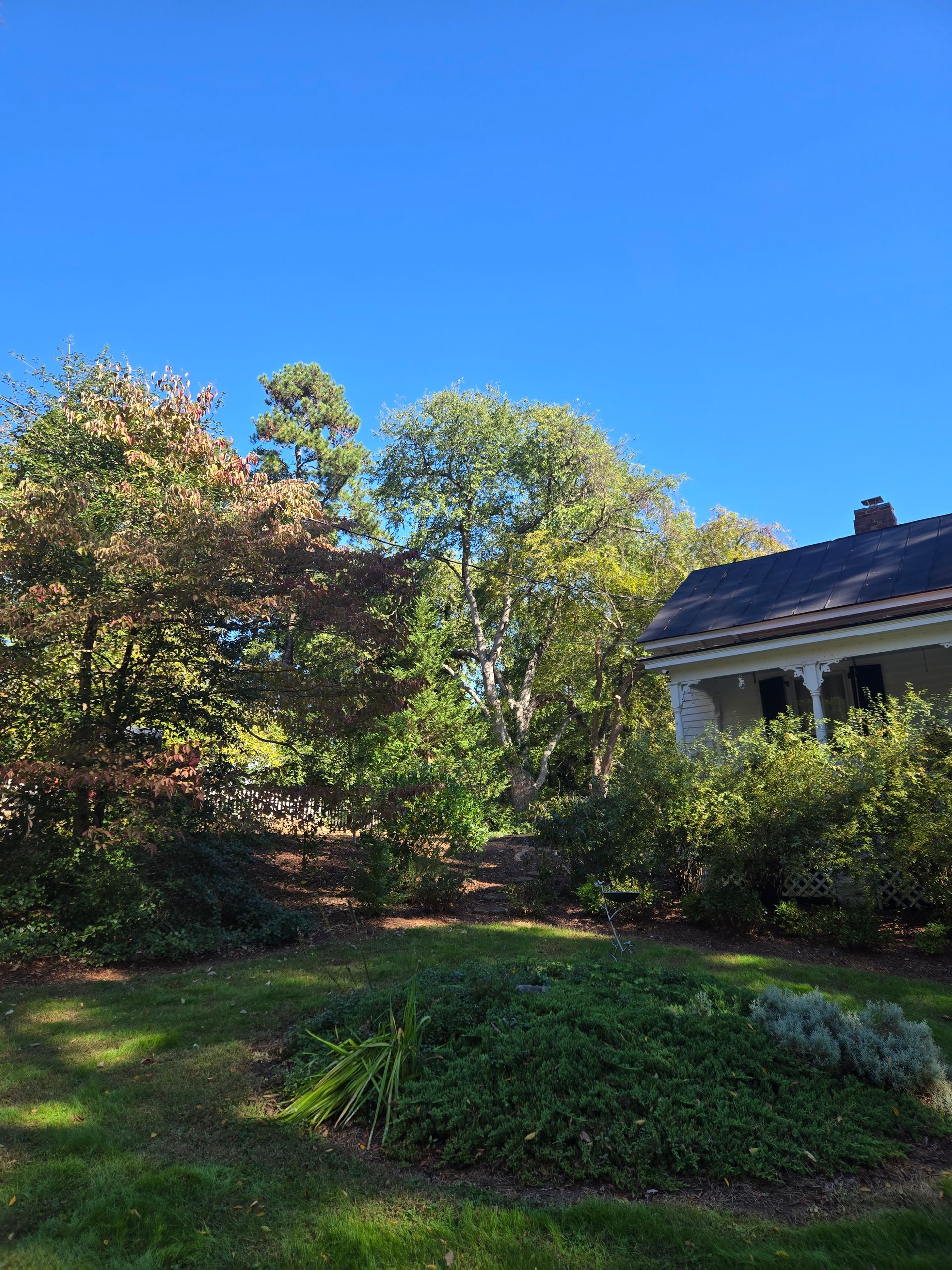 tree removal services clarksville, va tree removal services clarksville, va