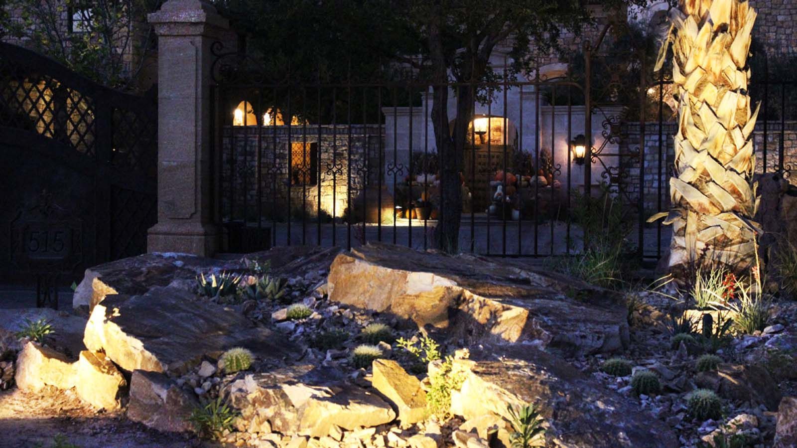 A palm tree is lit up at night in a garden
