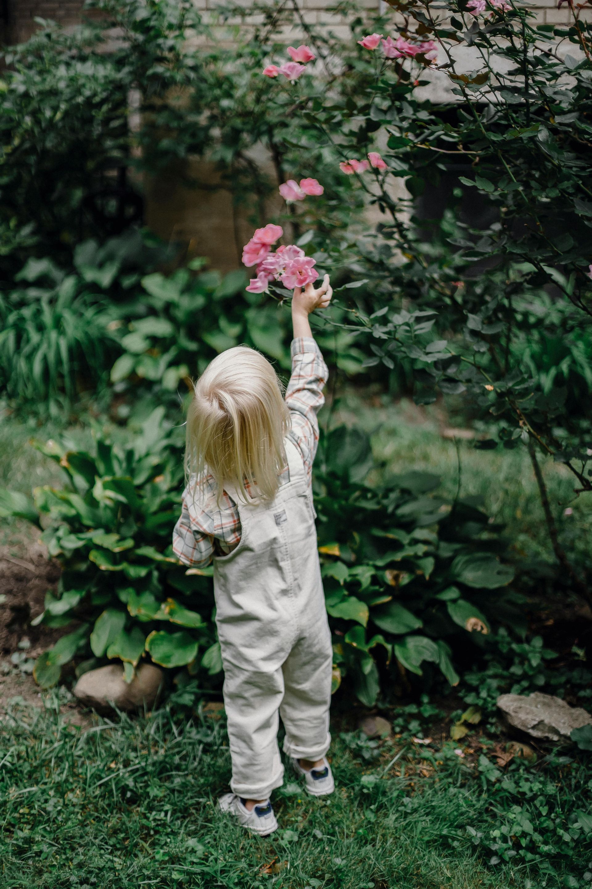 Montessori children gardening