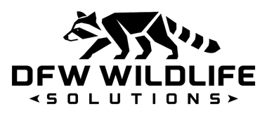 DFW Wildlife Solutions logo