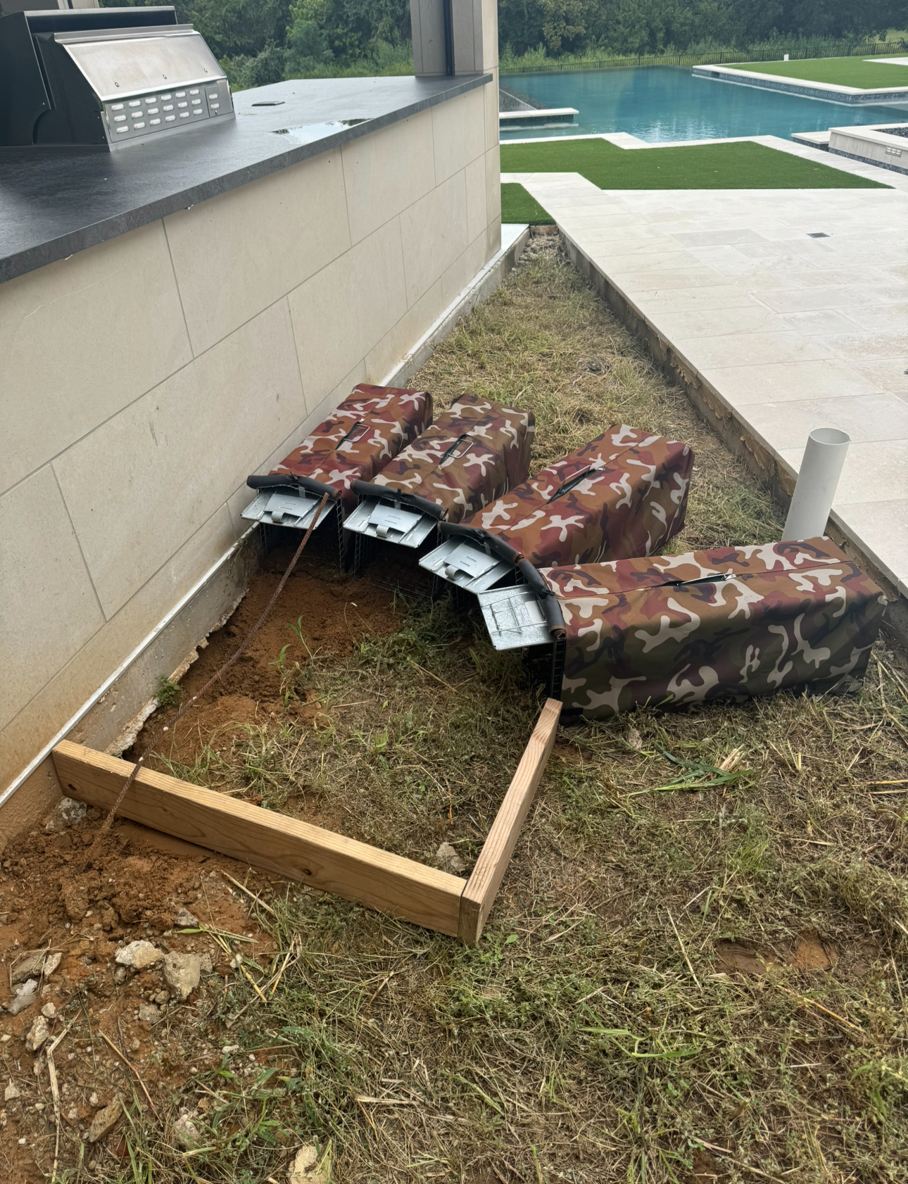 DFW Wildlife Solutions