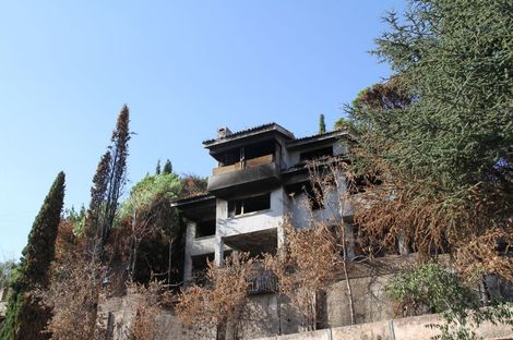 Damaged orange house split down the middle, revealing interior; windows intact; leafy bush in foreground.