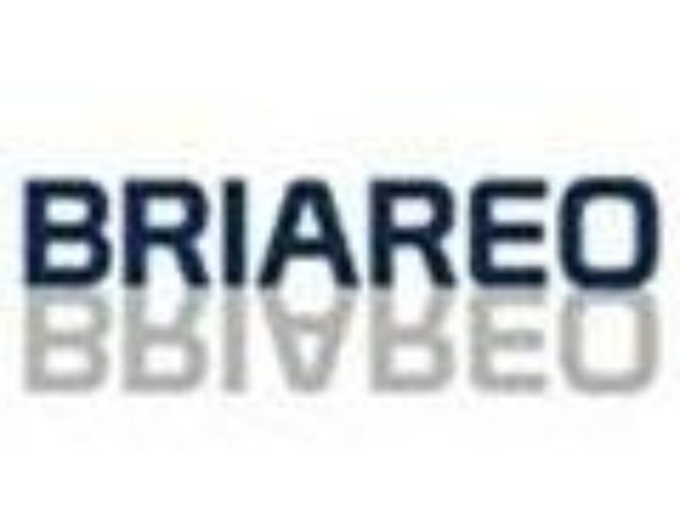 Logo Briareo