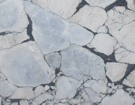 Cracked white ice floes with dark water gaps between them