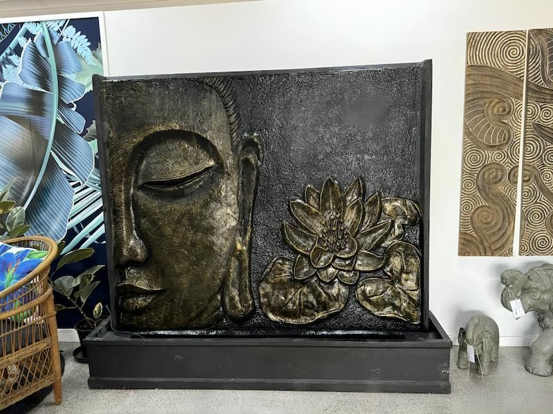 A Dark Sculpture of a Lotus Flower and Face — Sun City Pools In Hyde Park, QLD