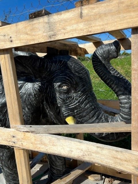 A Statue of an Elephant is Behind a Wooden Fence — Sun City Pools In Hyde Park, QLD