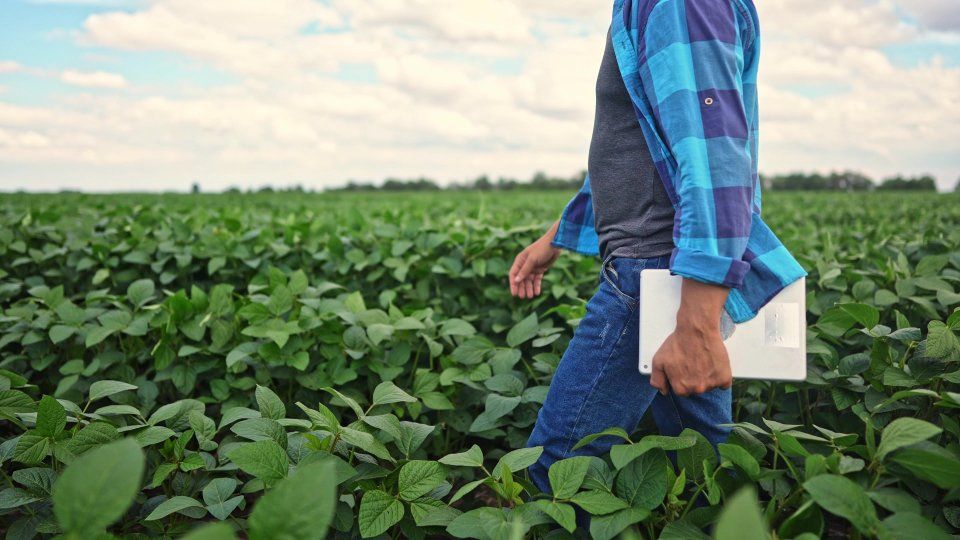 farm insurance
