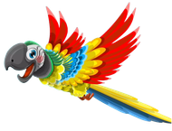 The Parrot Bar: Your Go-To Restaurant in Nanum The Parrot Bar: Your Go-To Restaurant in Nanum