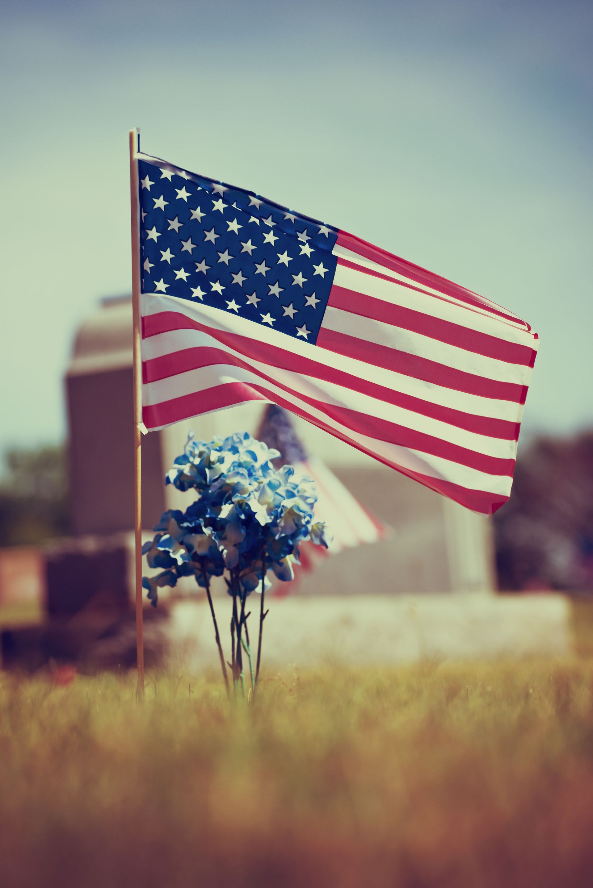 American flag planted beside blue flowers in a grassy field with a barn in the background