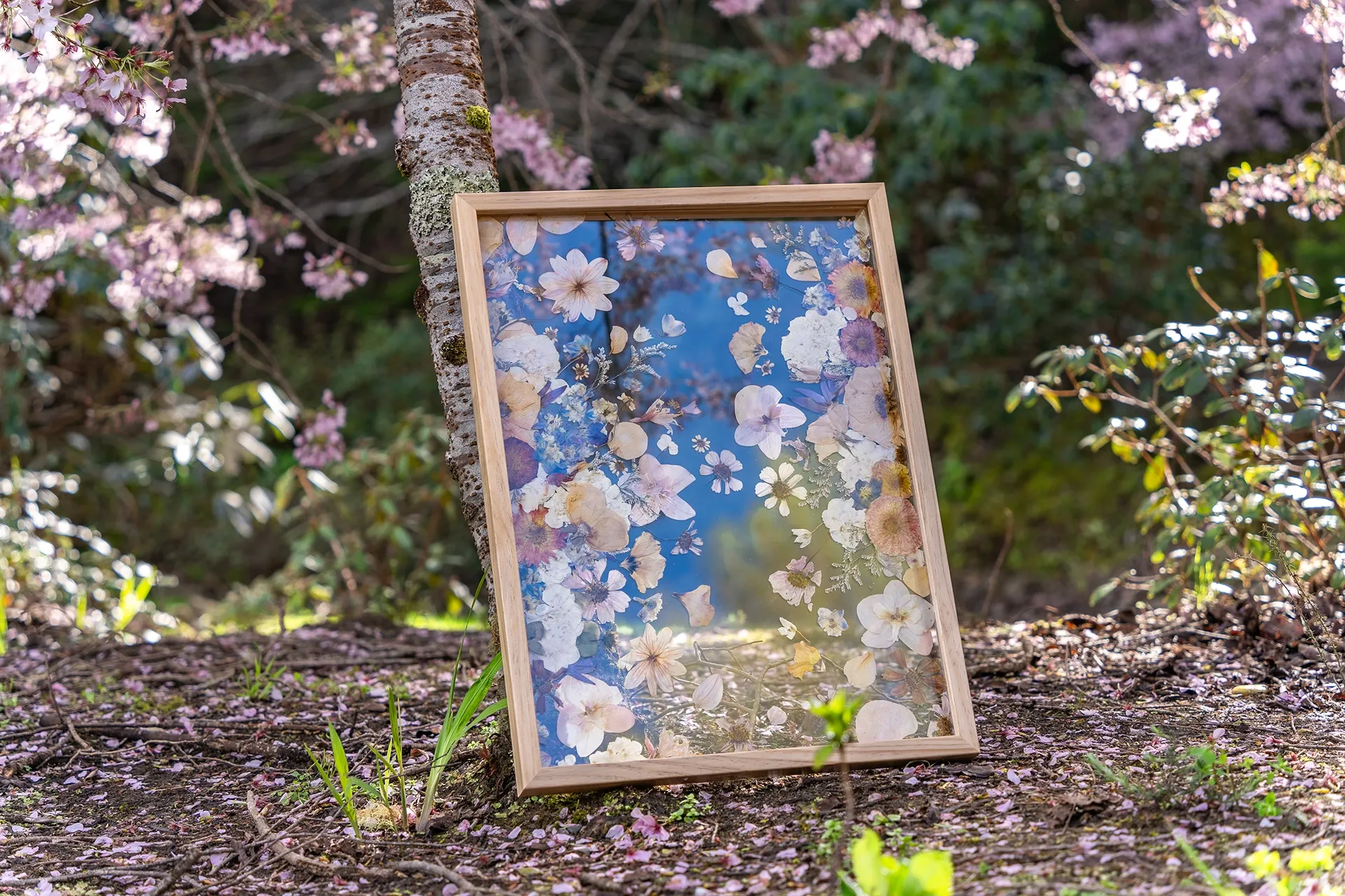 Carolyn Austin workshops at Garden Marlborough 2026