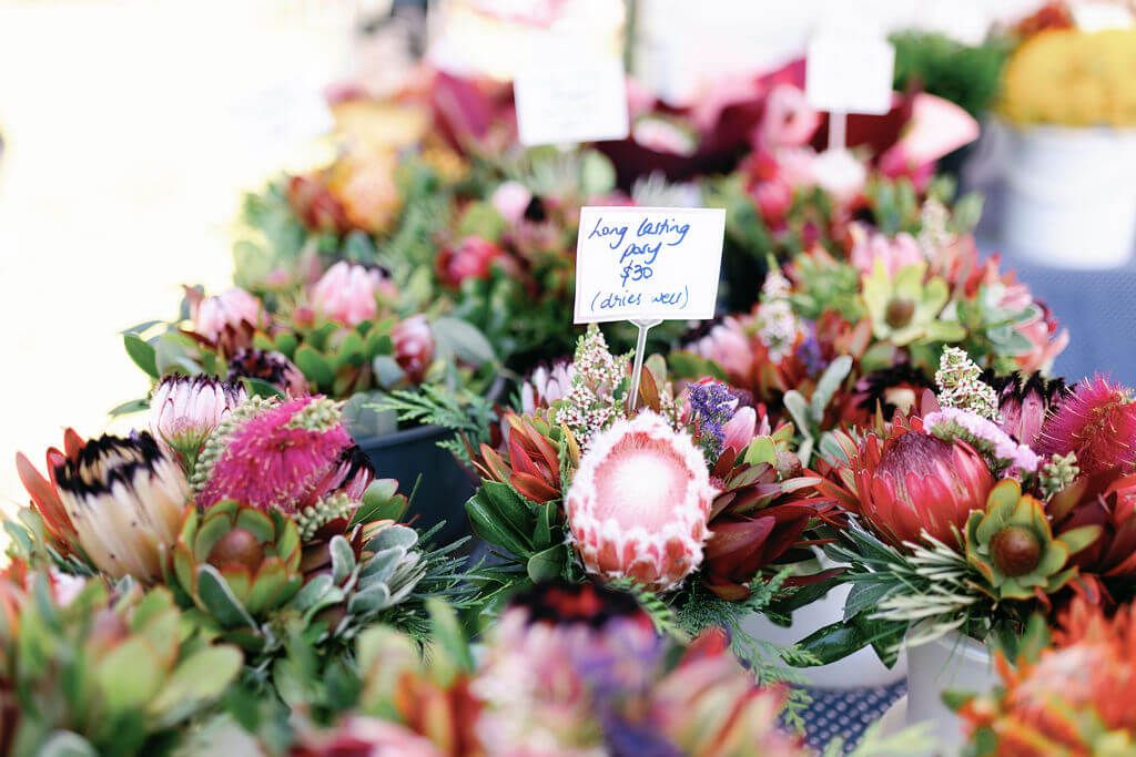 2023 Rapaura Springs Garden Marlborough Festival in Marlborough, New Zealand