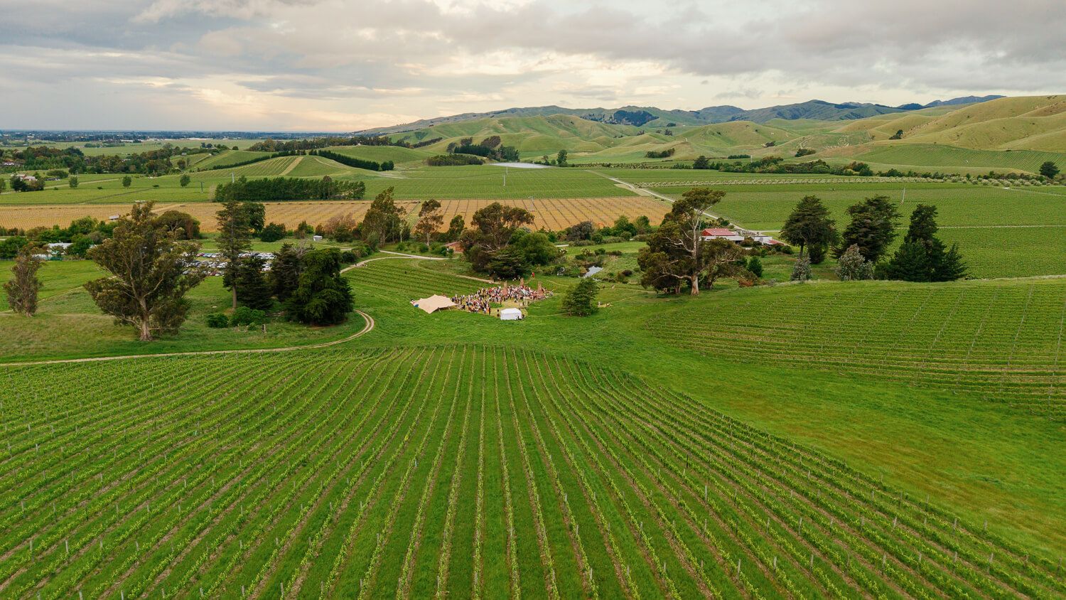 2024 Garden Marlborough Festival in Marlborough, New Zealand