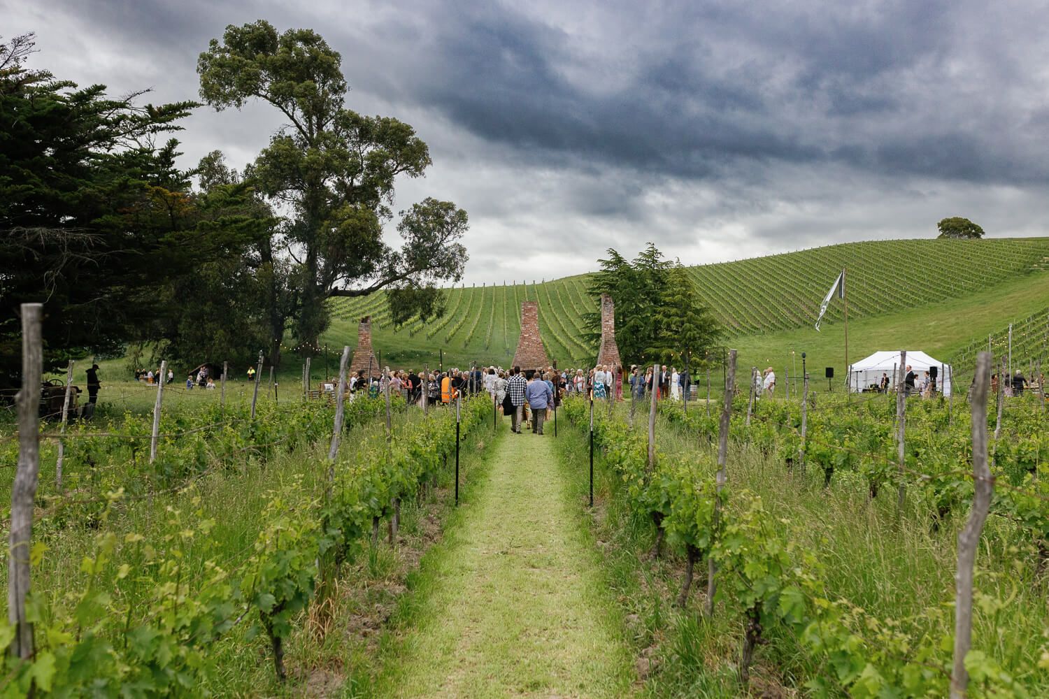 2024 Garden Marlborough Festival in Marlborough, New Zealand