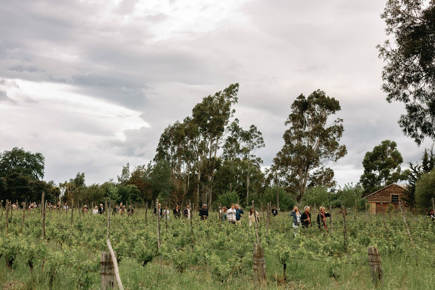 2024 Garden Marlborough Festival in Marlborough, New Zealand