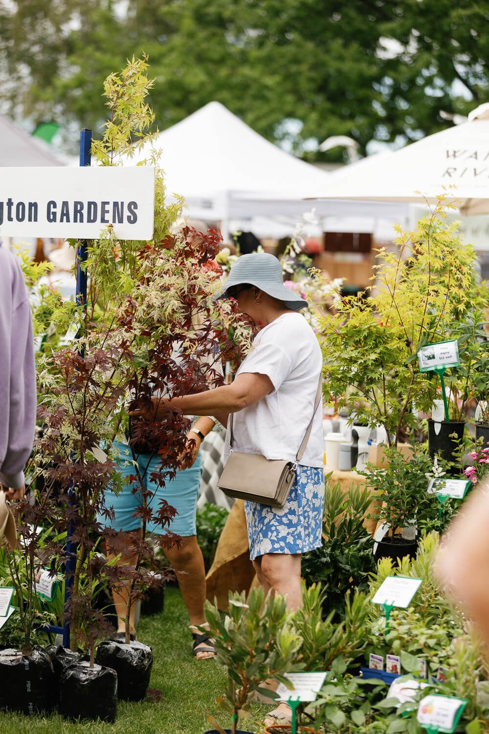 2024 Garden Marlborough Festival in Marlborough, New Zealand