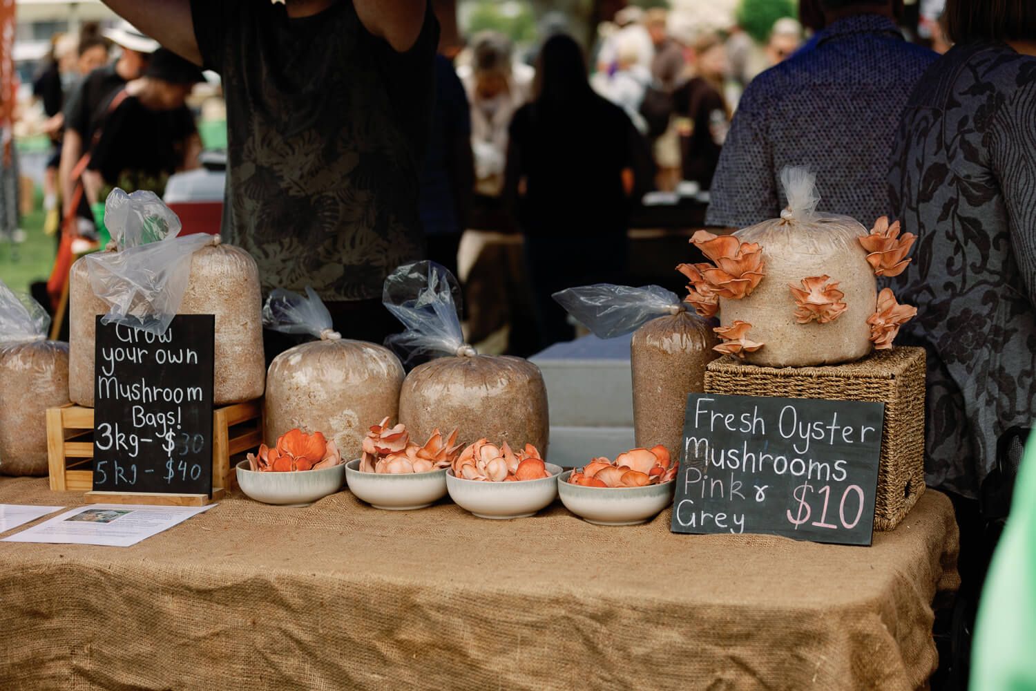 2024 Garden Marlborough Festival in Marlborough, New Zealand