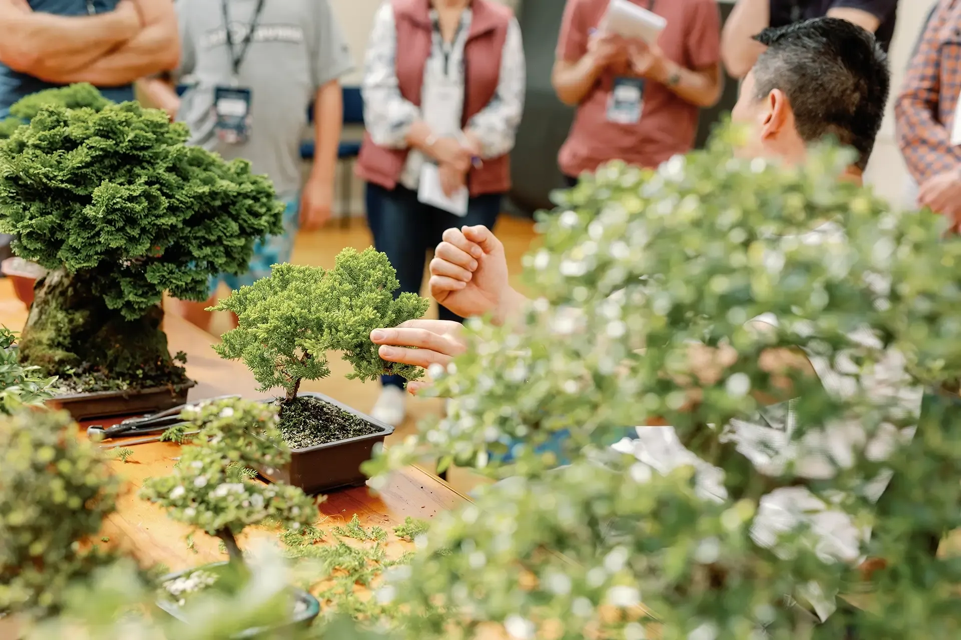 2025 Garden Marlborough Festival in Marlborough, New Zealand