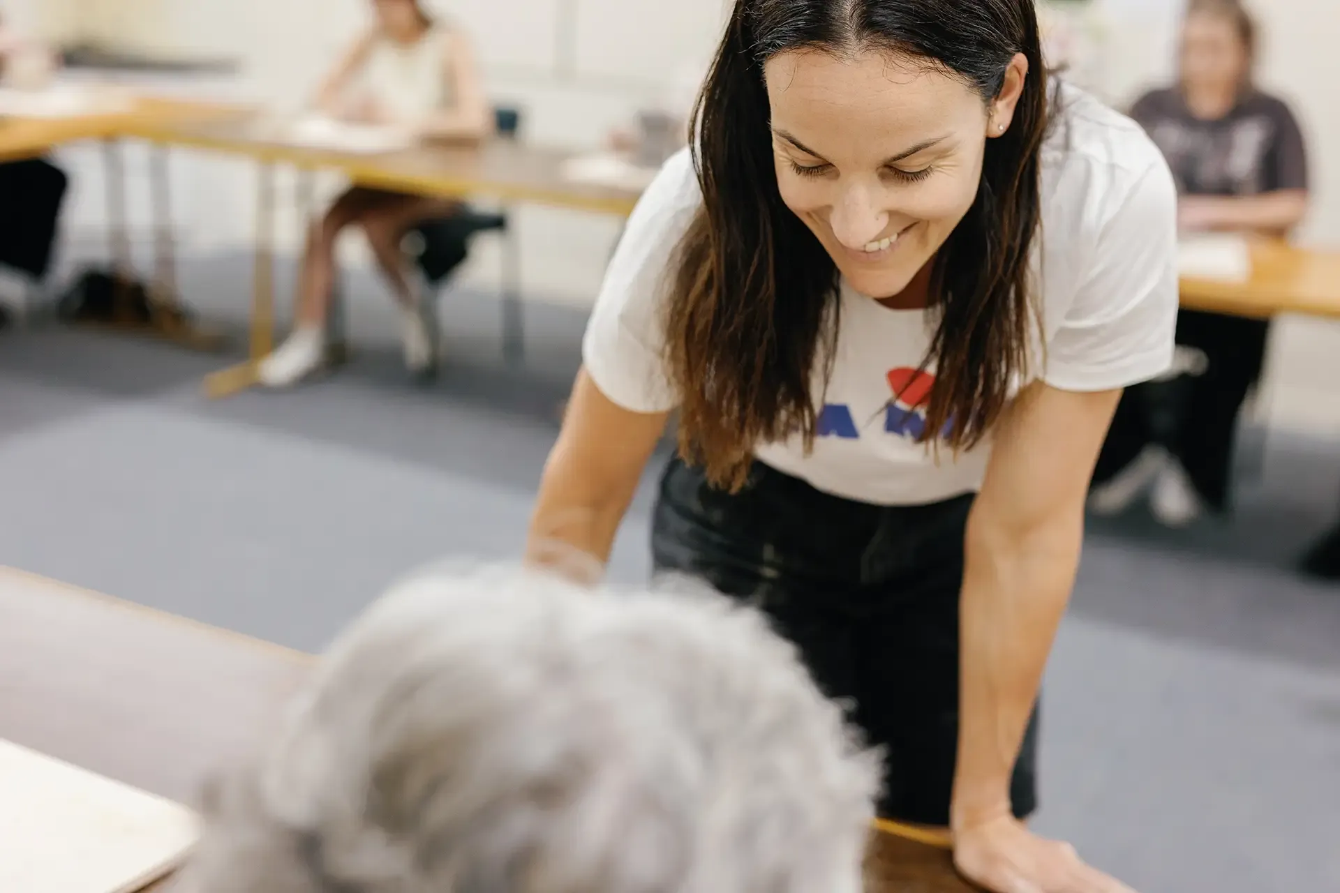 2025 Garden Marlborough Festival in Marlborough, New Zealand