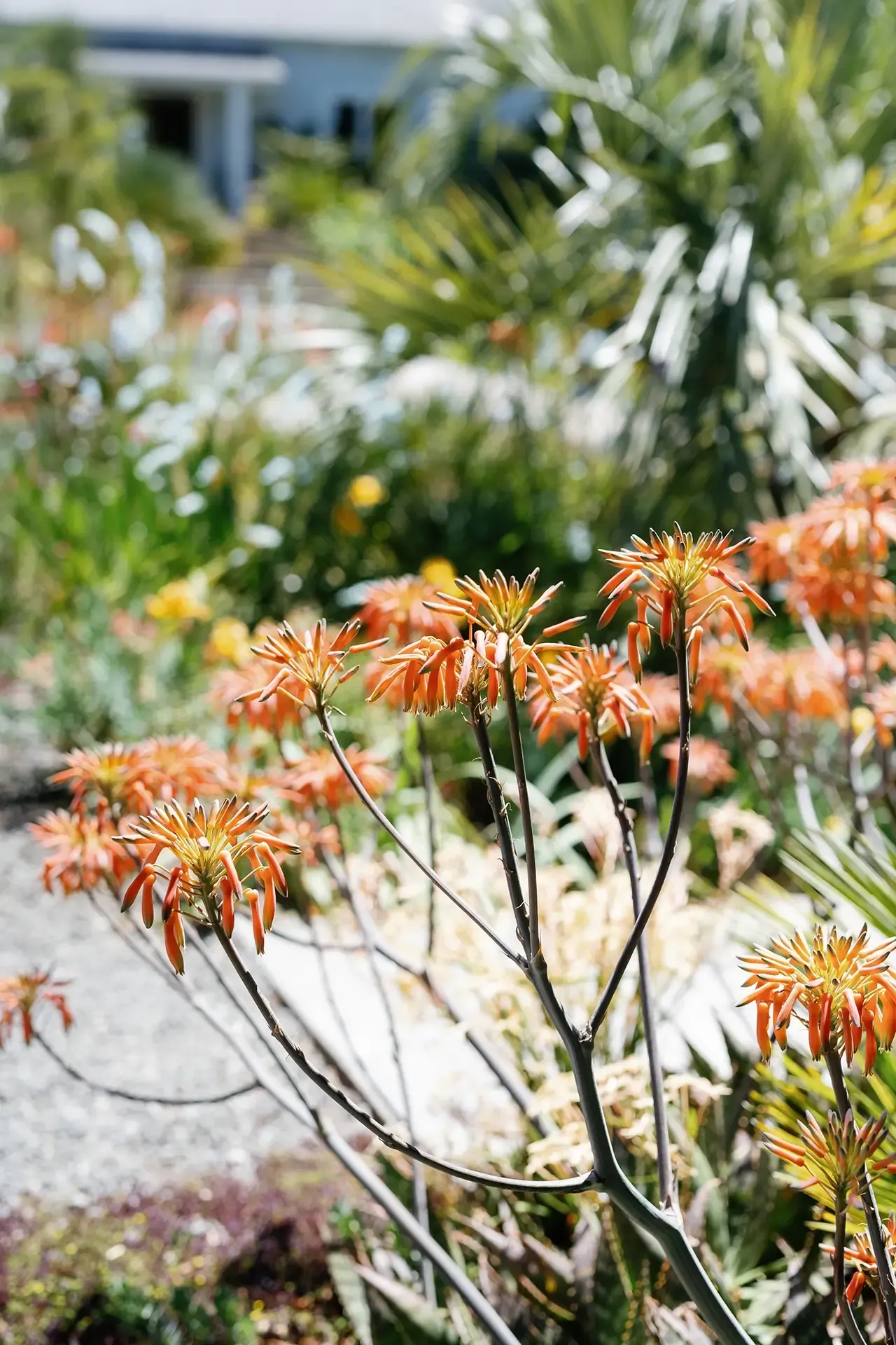 2025 Garden Marlborough Festival in Marlborough, New Zealand