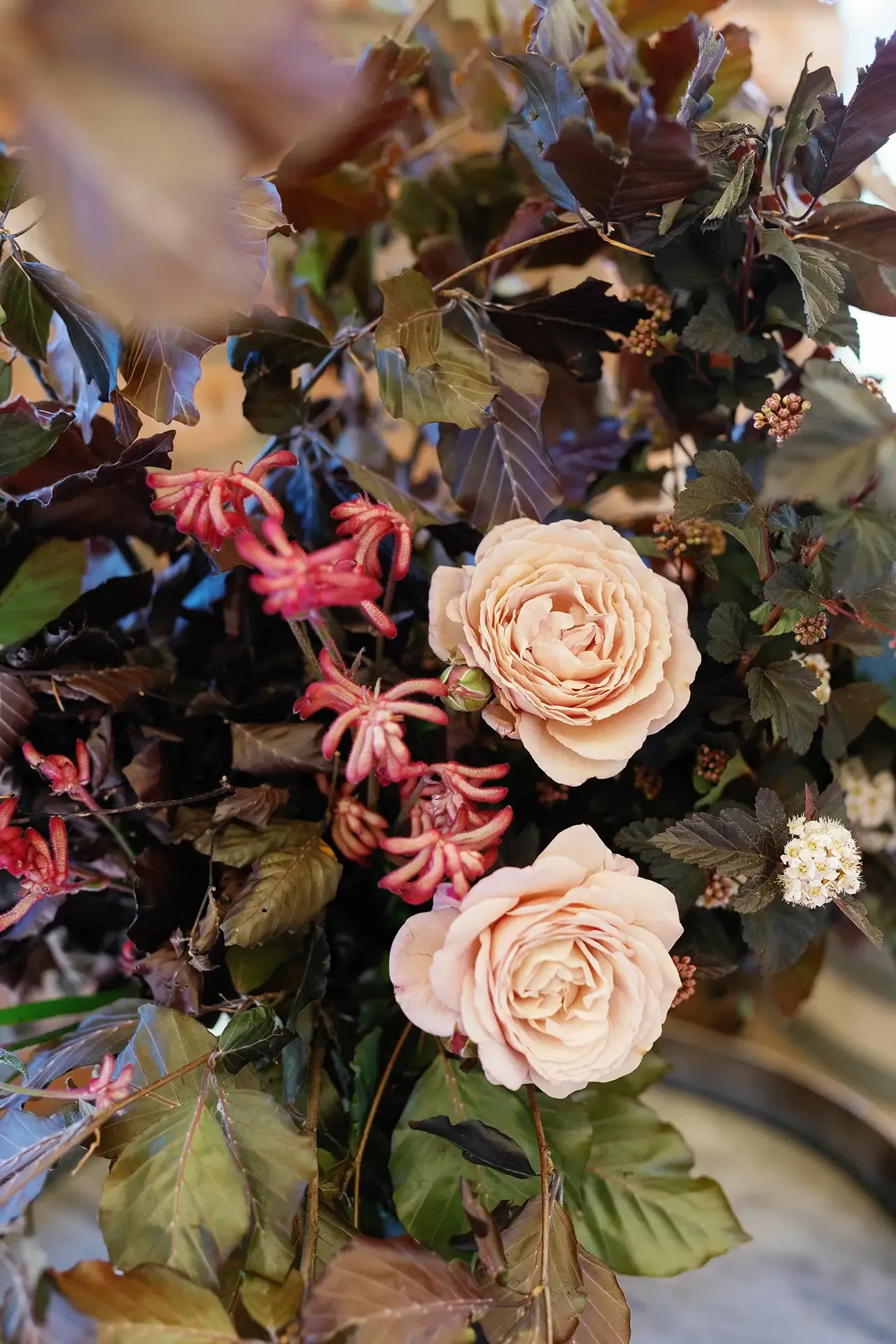 2025 Garden Marlborough Festival in Marlborough, New Zealand