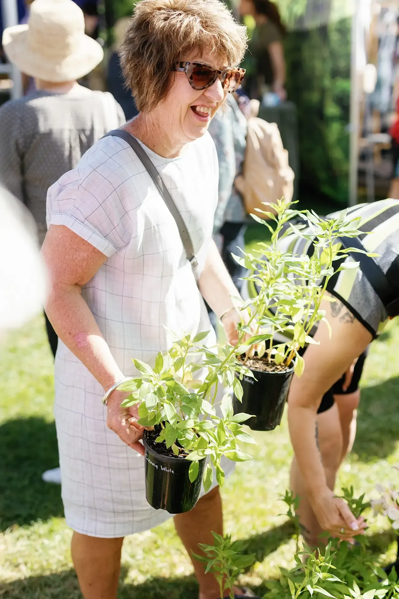 2025 Garden Marlborough Festival in Marlborough, New Zealand