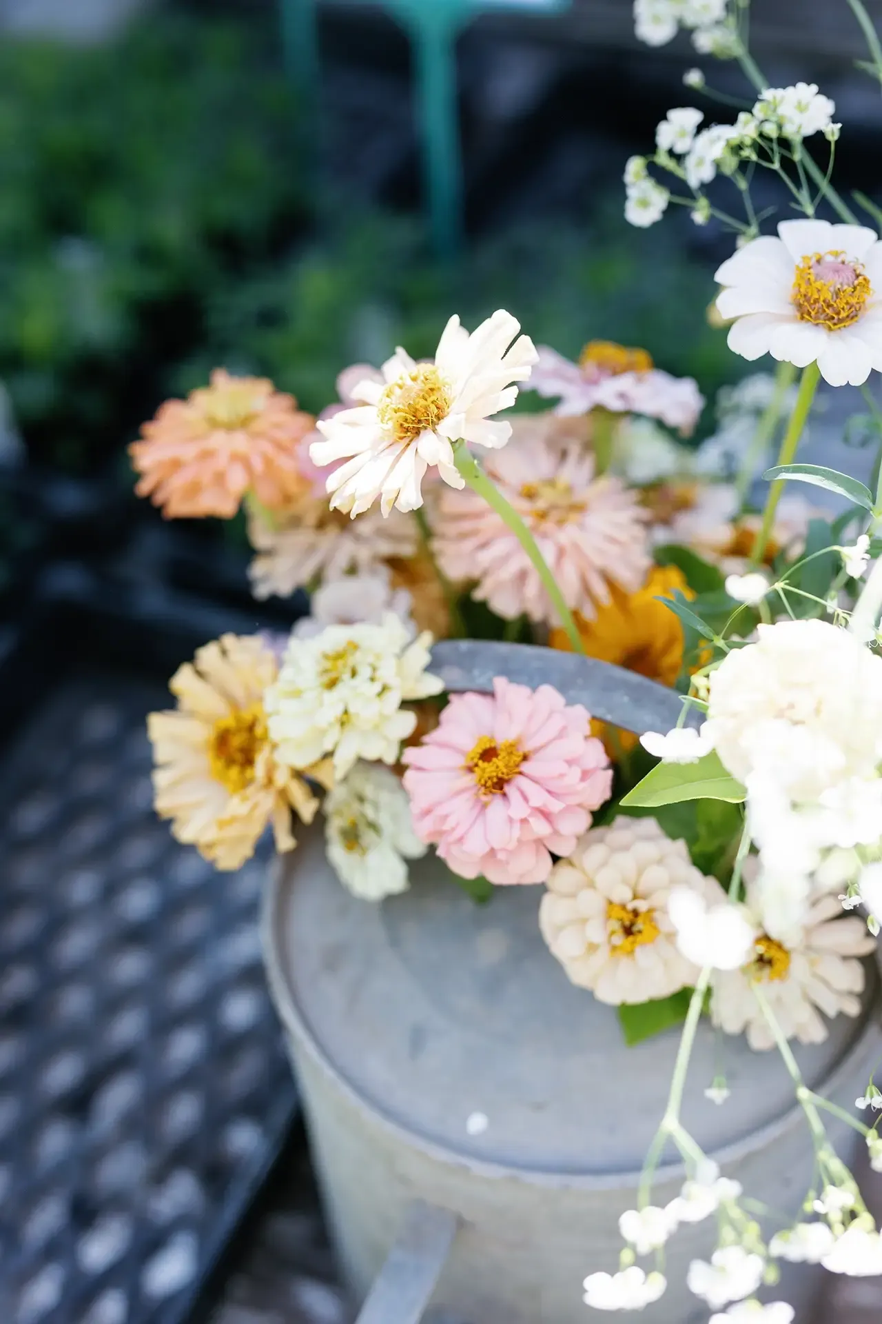 2025 Garden Marlborough Festival in Marlborough, New Zealand