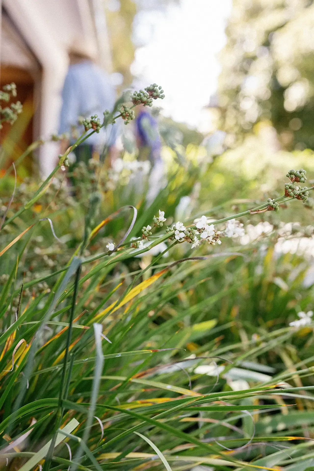 2025 Garden Marlborough Festival in Marlborough, New Zealand