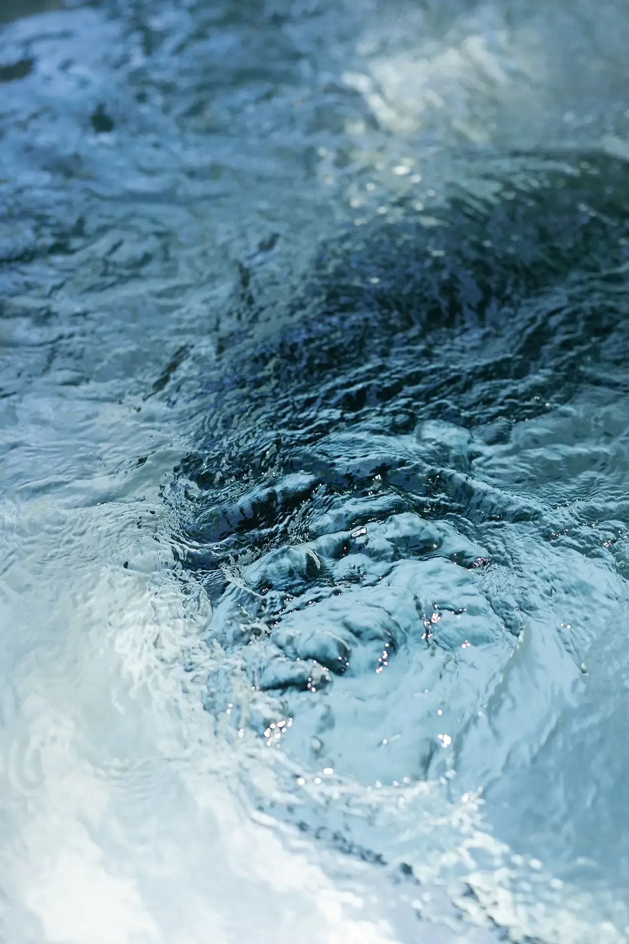 2025 Garden Marlborough Festival in Marlborough, New Zealand