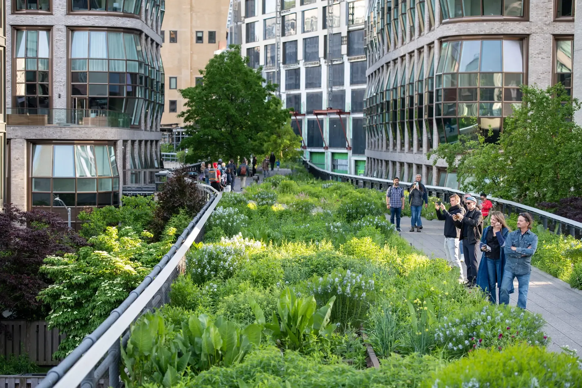 The High Line: Wild By Design - Richard Hayden