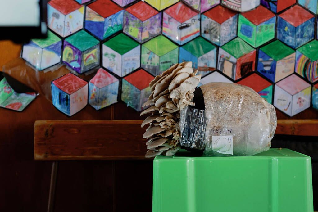 2023 Rapaura Springs Garden Marlborough Festival in Marlborough, New Zealand