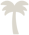 A picture of a palm tree.