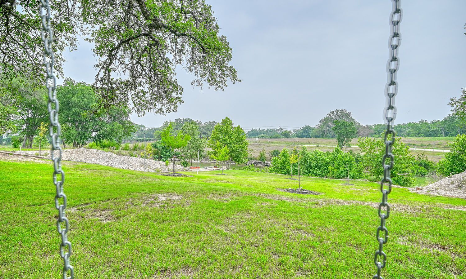 A chain swing is hanging from a tree in a grassy field.
