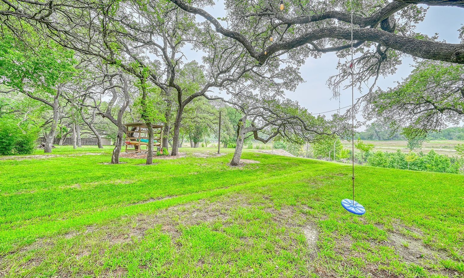 A blue frisbee is hanging from a tree in a grassy field.