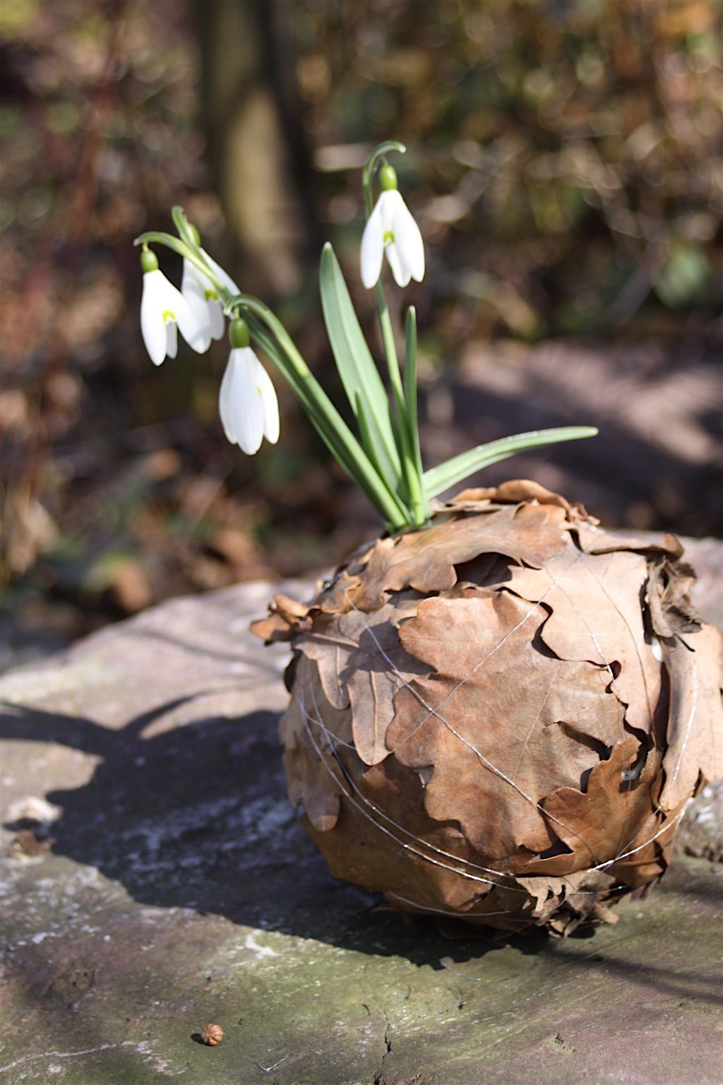 Auf einem Holztisch steht eine Blume in einem Behälter aus Blättern.