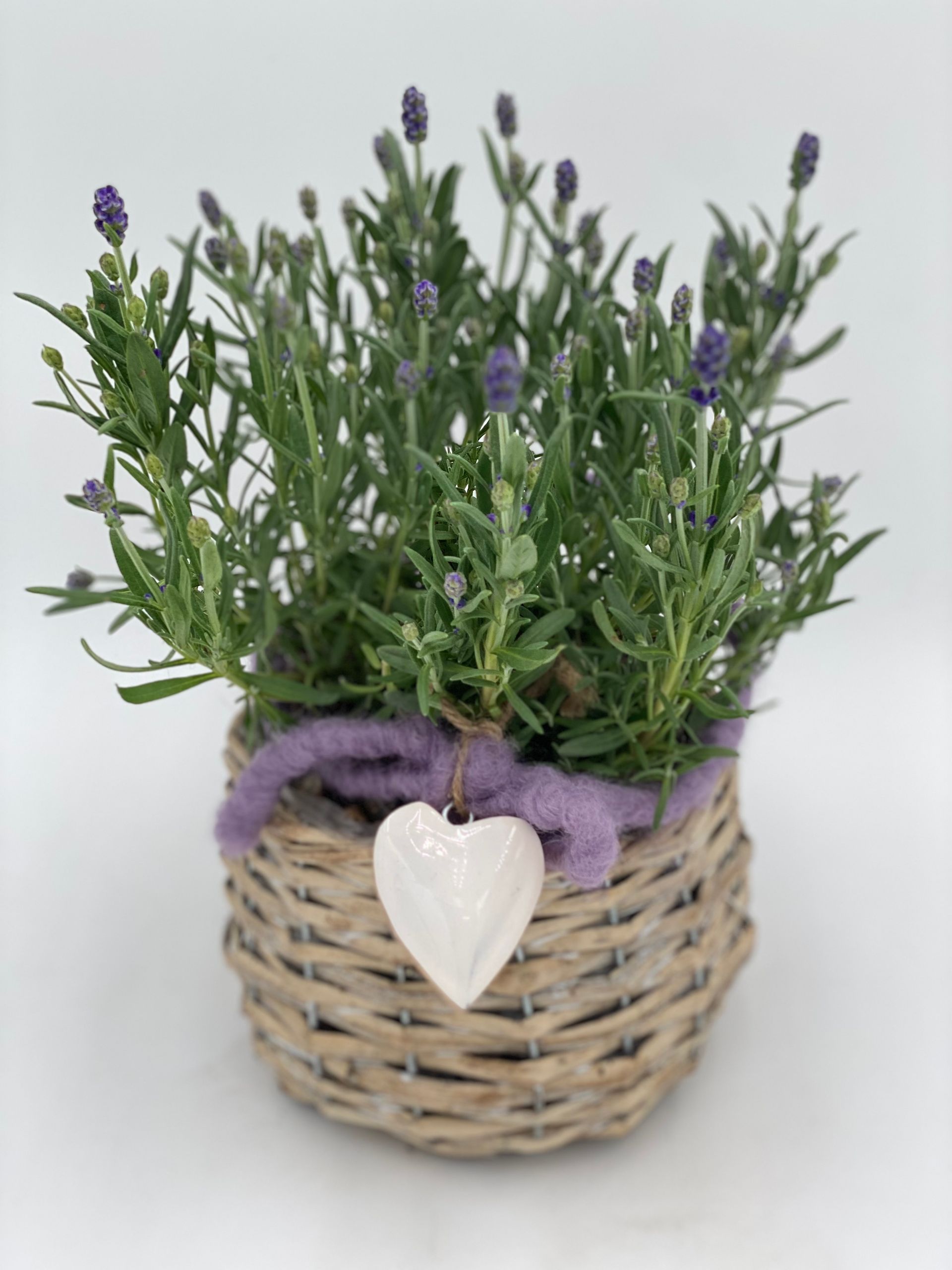 Lavendel im Korb