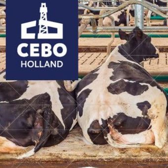 nieuwe merknaam bedacht voor Cebo Holland