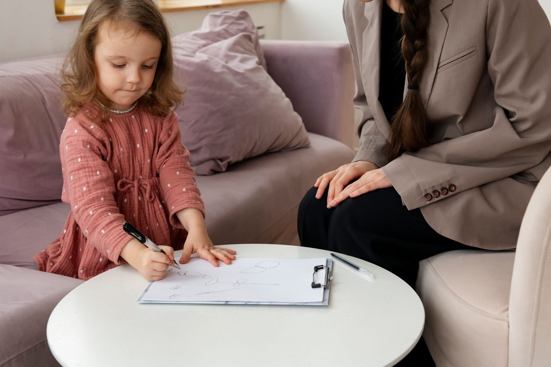 Child Custody Investigation