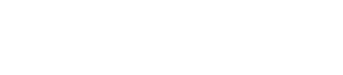 North Towne Logo - Footer