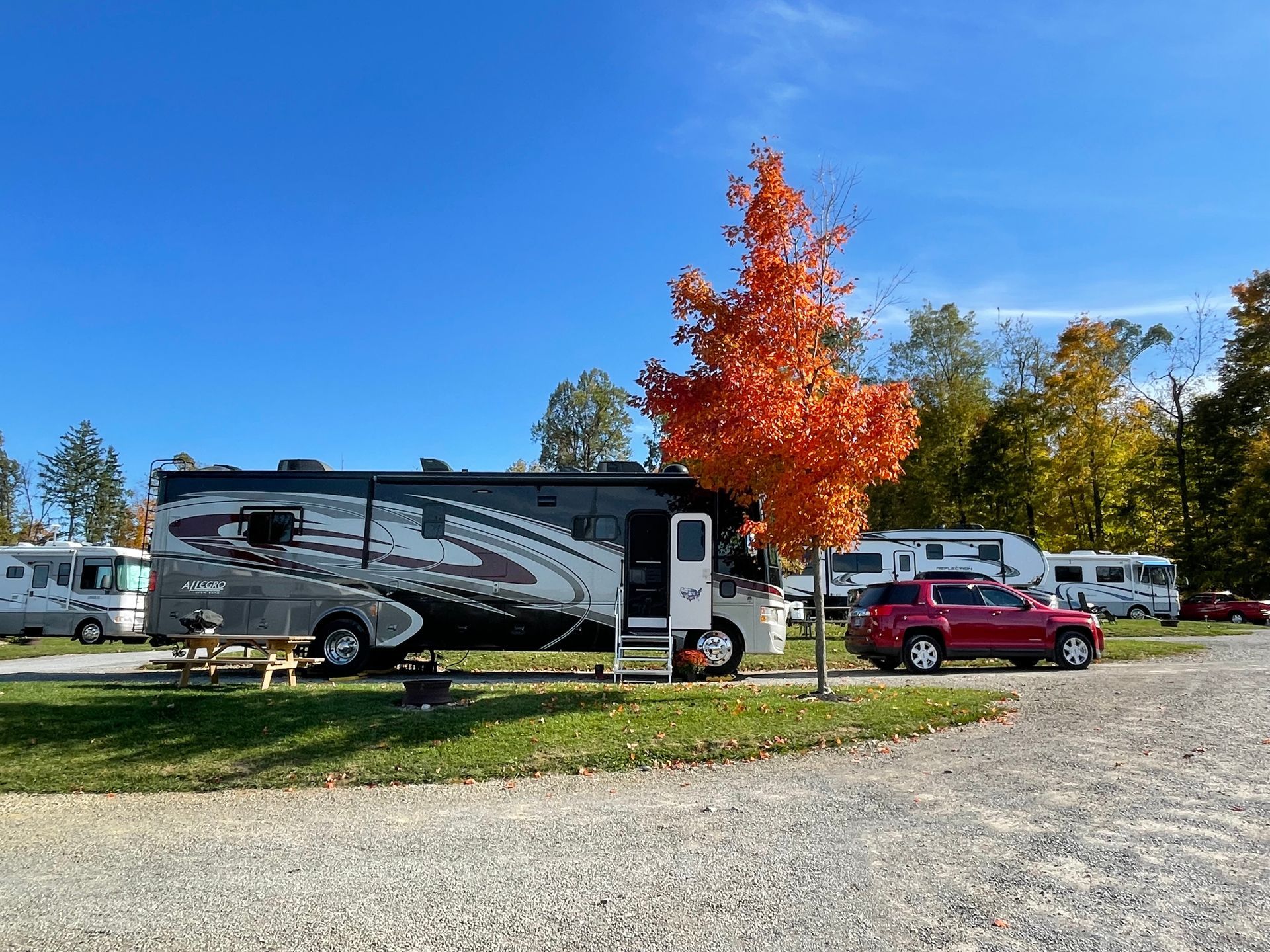 RV park on a sunny day with motorhomes and a red car. A tree with orange leaves is in the center.