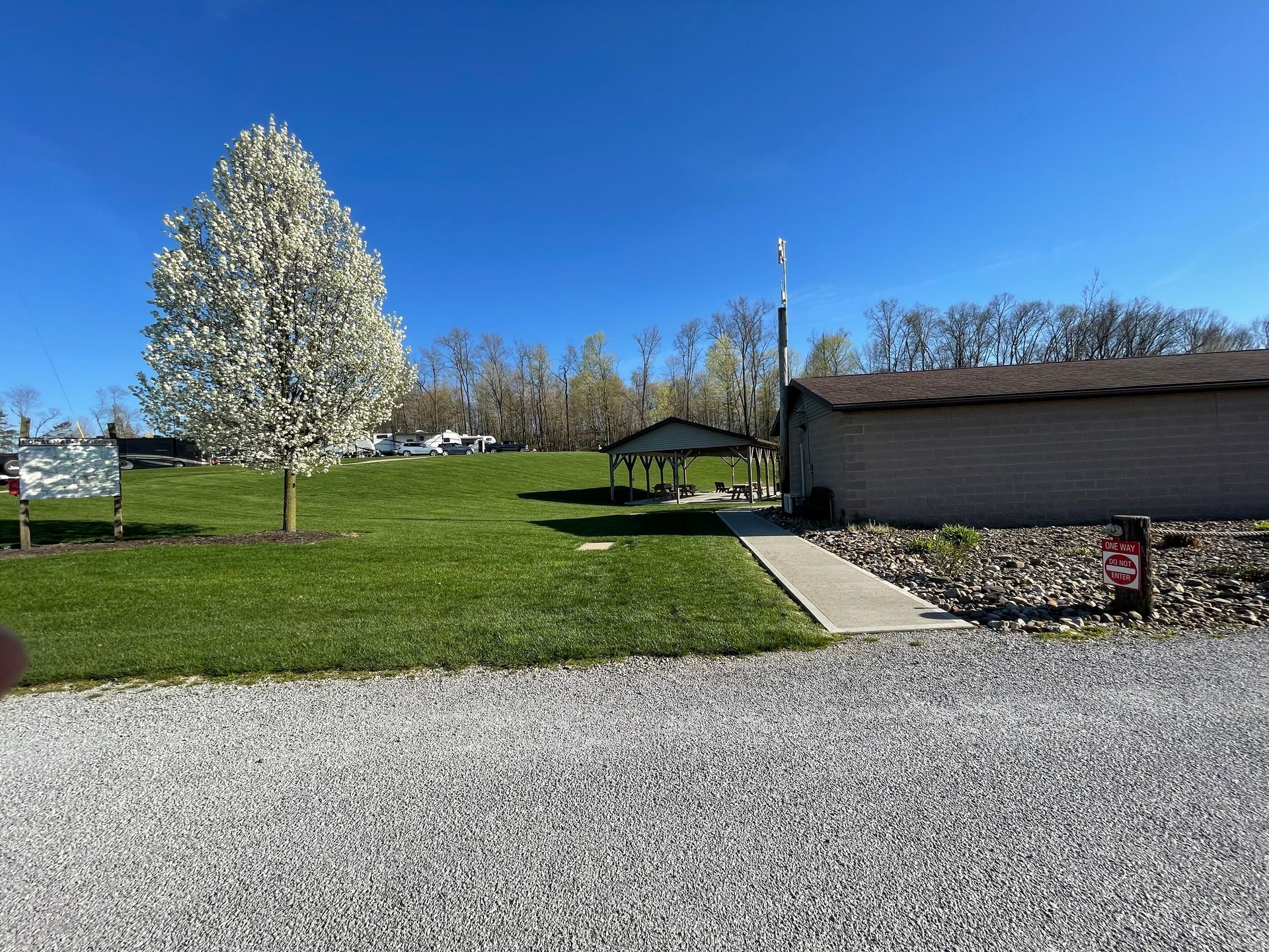 Lush green lawn with a blossoming tree, a shelter, and a concrete pathway on a sunny day.