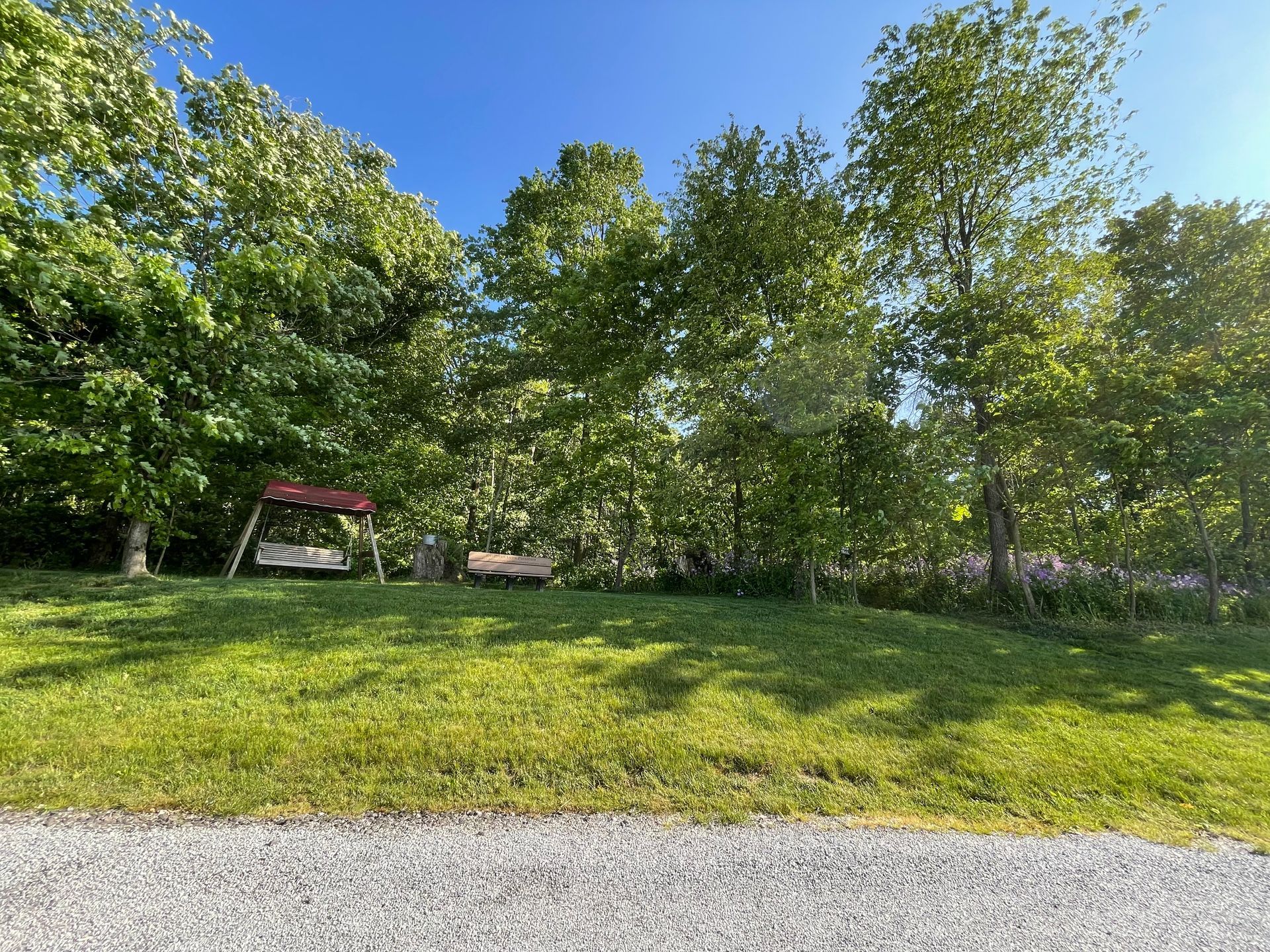 Grassy yard with swing, bench, and trees under a clear blue sky.
