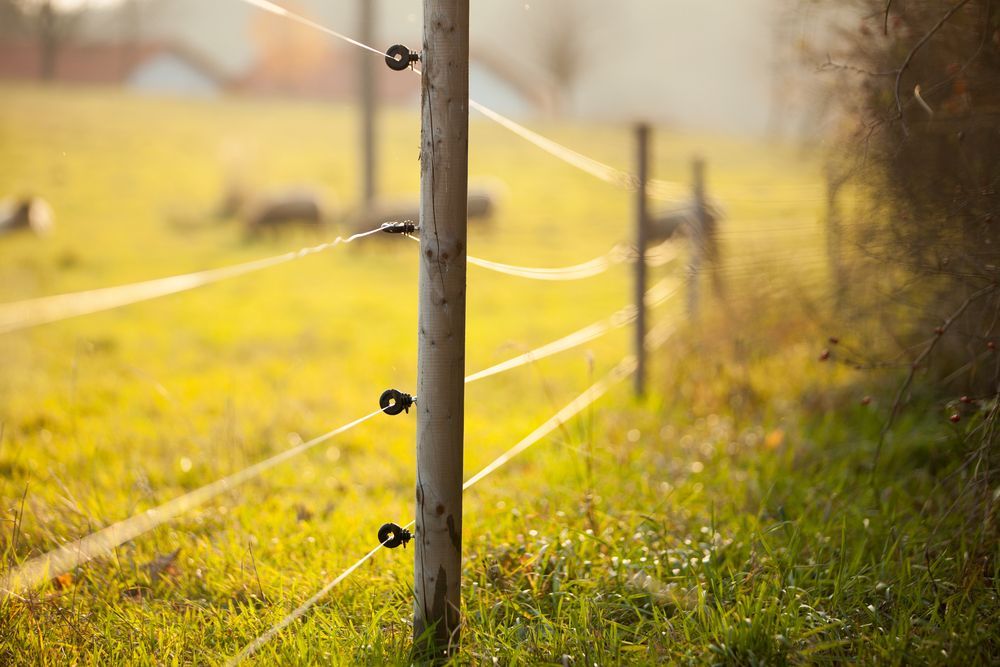 A White Fence Surrounds a Field of Dry Grass — Yeppoon Stockfeed & Rural Supplies in Yeppoon, QLD