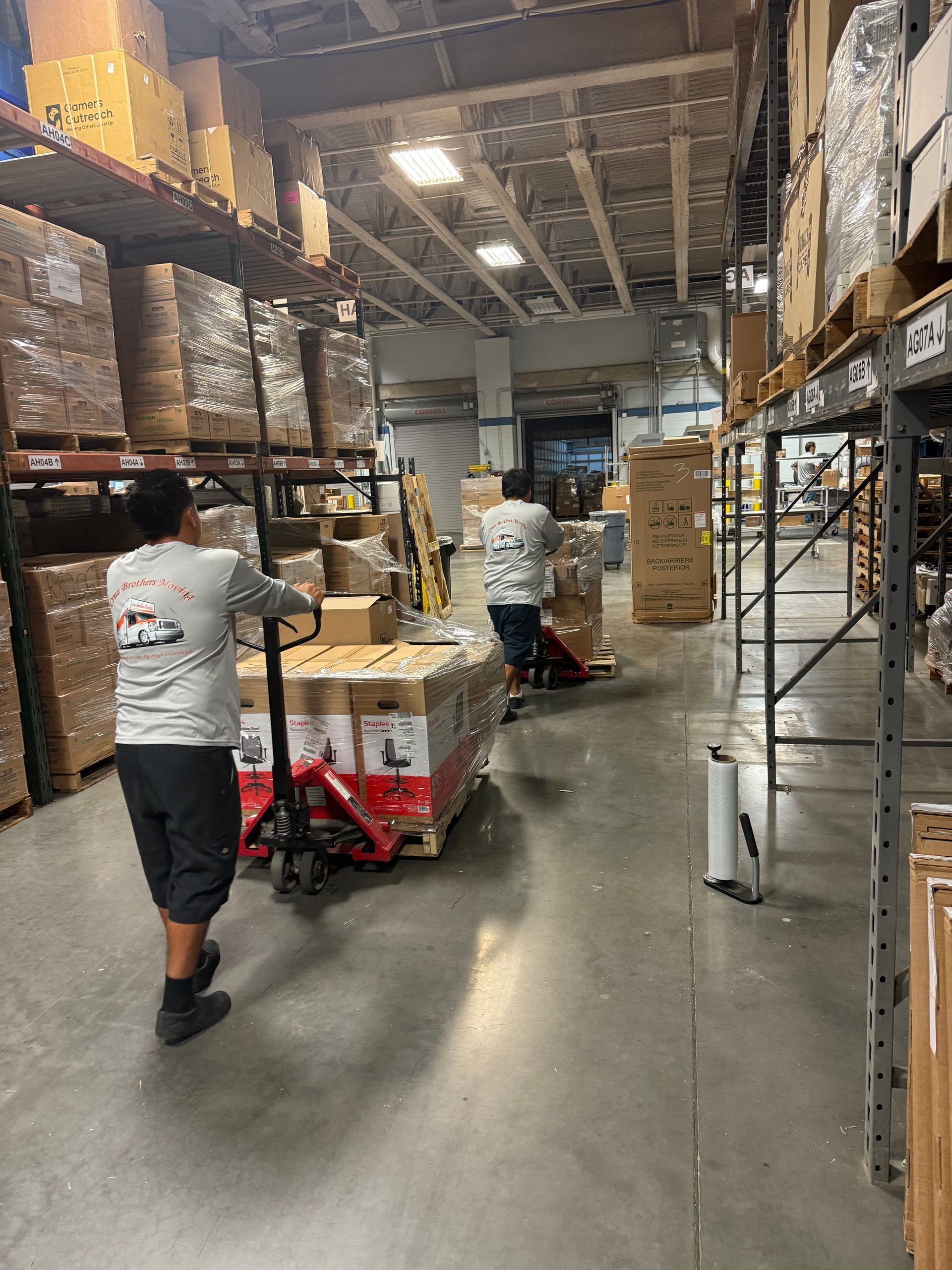 Warehouse workers moving boxes on carts between tall storage racks