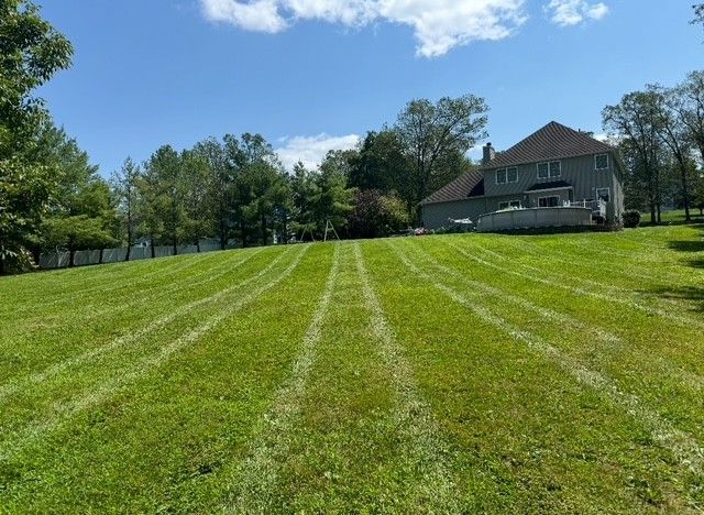 A lush green field with a house in the background