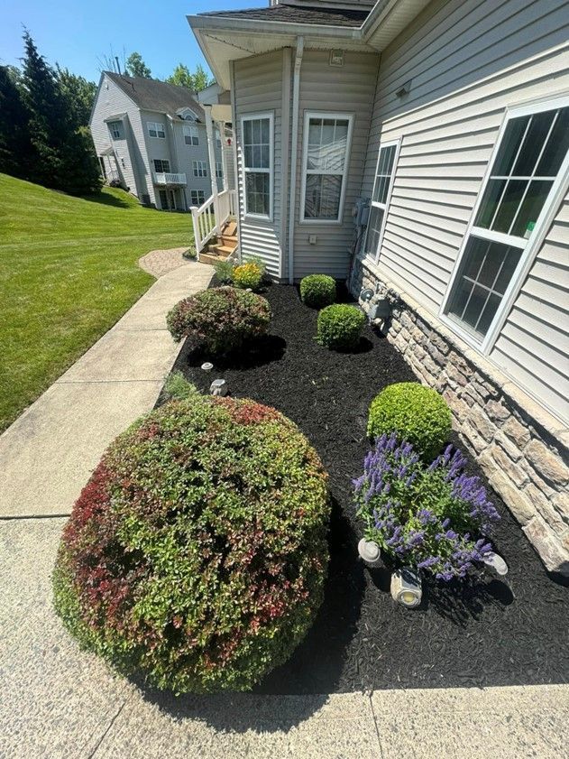 A house with a lot of bushes and flowers in front of it.