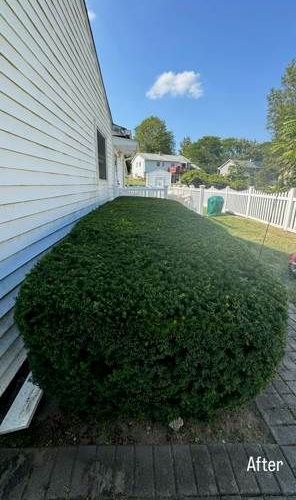 A house with a white fence and a bush in front of it.