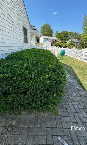 A brick walkway leading to a house with a bush in front of it.