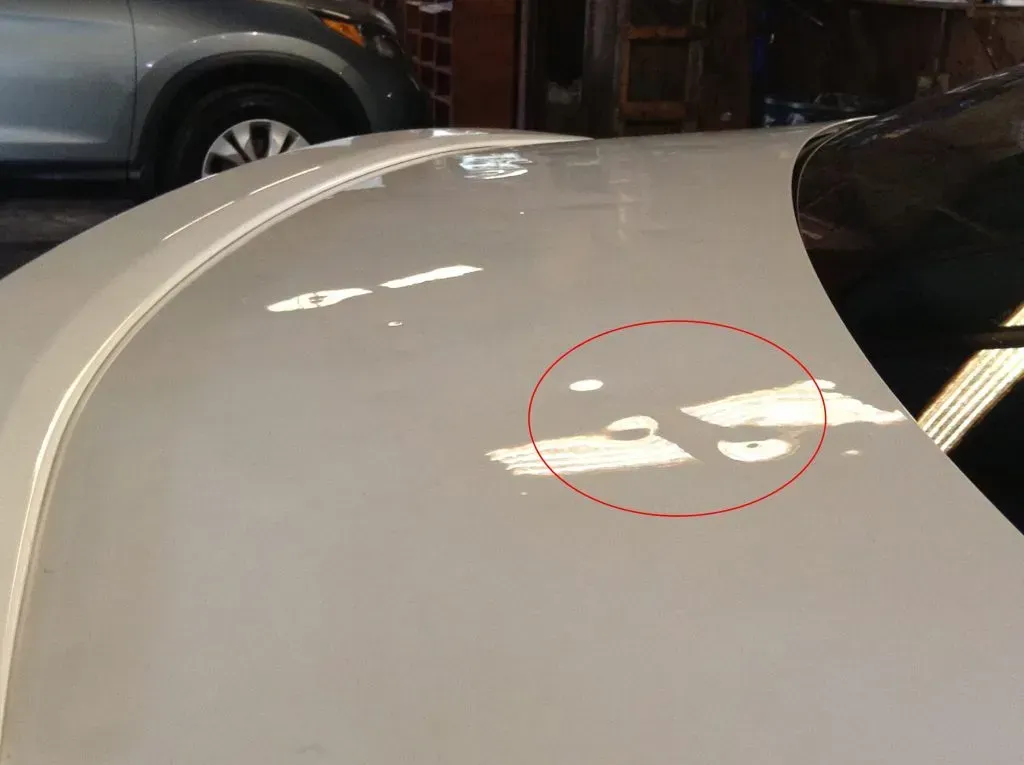 A light-colored car trunk lid showing areas of paint damage circled in red.