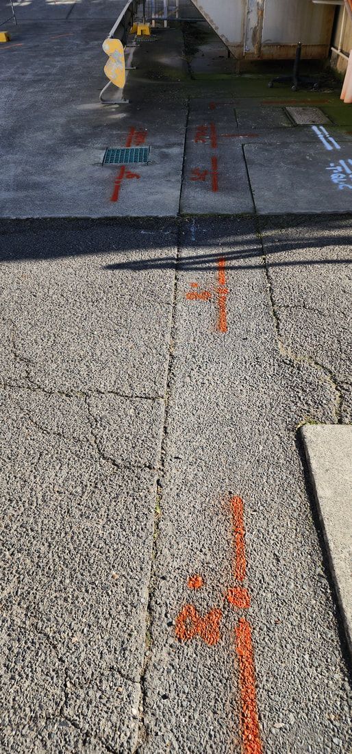 Overhead Shot of a Concrete Surface With Orange Markings — Found It Down Under in Gunalda, QLD
